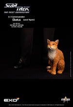 Load image into Gallery viewer, TNG Lt Comm Data (Standard Version) NON REFUNDABLE PRE-ORDER DEPOSIT (Final Amount due $230+shipping) Pre-Order Ended