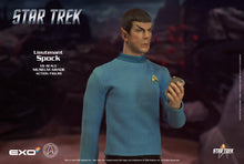 Load image into Gallery viewer, TOS Cage Mr Spock - Limited Production NON REFUNDABLE PRE-ORDER DEPOSIT (Final Amount due $210+shipping) Pre-Order Ended
